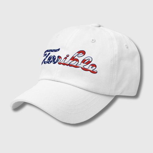 Terrible USA Baseball Cap